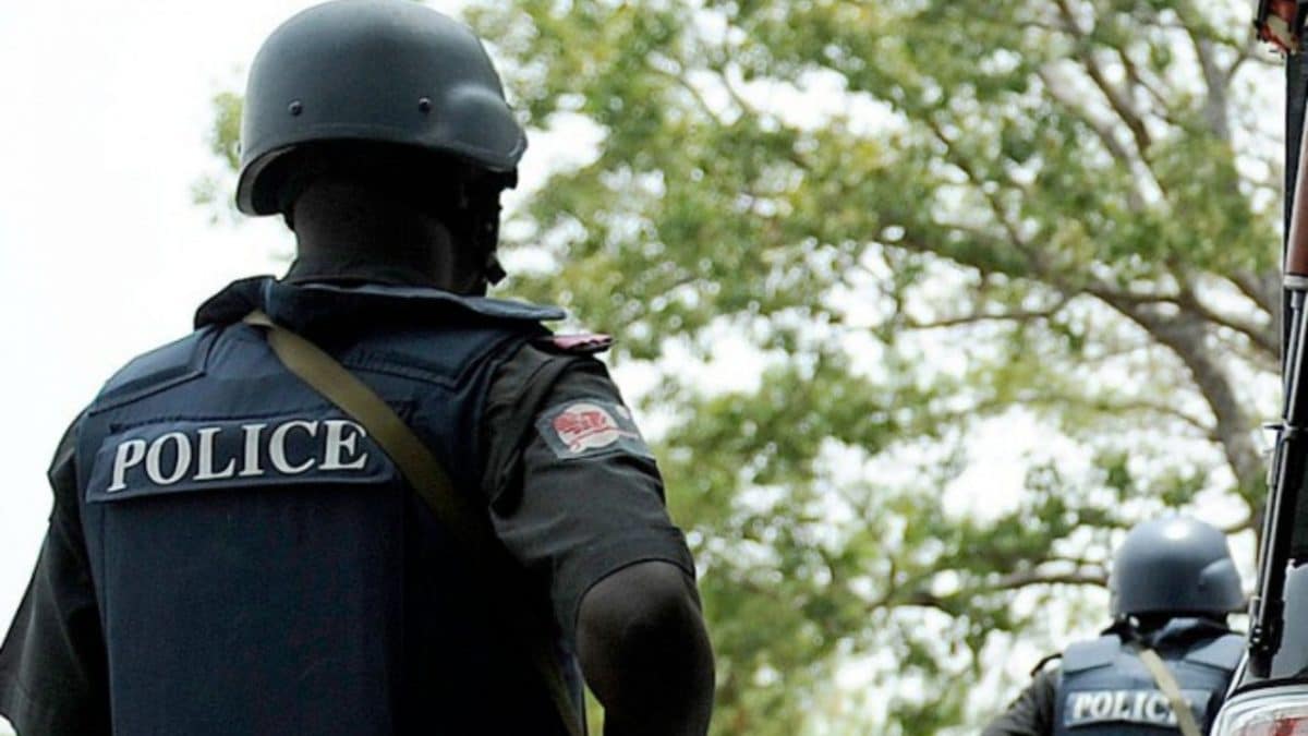 4 youths arrested over alleged robbery in Yola