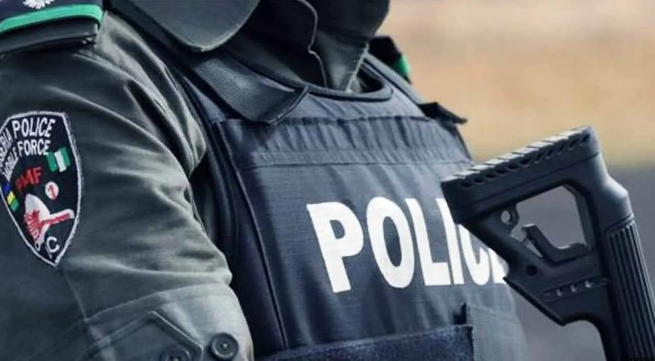 Ogun: Police nab suspected kidnapper selling children to Benin Republic