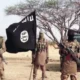 Boko Haram kills 5 in Yobe
