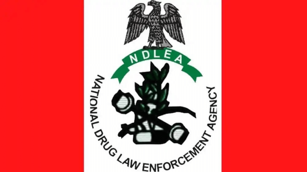 Borno Youths Now Drinking Fermented Urine To Get High – NDLEA Reveals