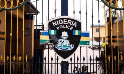 Female Serial Phone Snatcher, 84 Other Suspects Arrested In Borno
