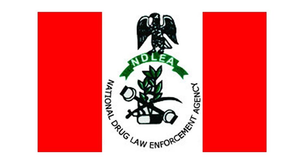 Kaduna: NDLEA confiscates 13.6 tonnes of illicit substances, arrests 1,005 suspects in 2023