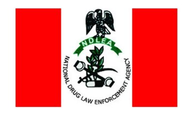 Kaduna: NDLEA confiscates 13.6 tonnes of illicit substances, arrests 1,005 suspects in 2023