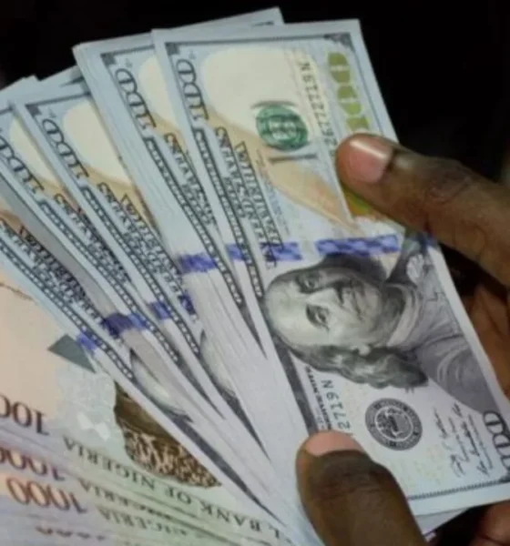 Naira drops to N1,089 against US dollar at official forex market