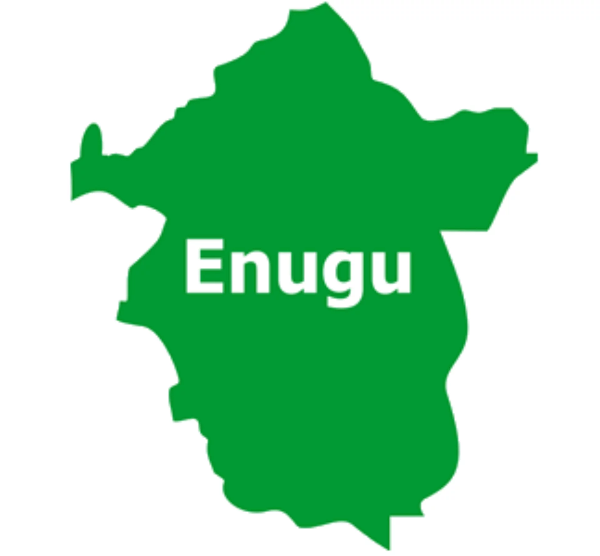 No plan to institute caretakers in Enugu LGs – Commissioner