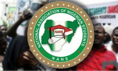 Sanction Nigerian Institutions Running Unaccredited Courses, NANS To FG
