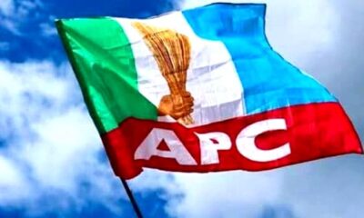 Stop Flaunting Your Folly, FG Not Owing December Salary – APC Replies PDP