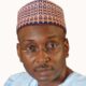 ‘No Political Party In Nigeria Is Functional’ – Ex-APC Vice Chairman, Salihu Lukman